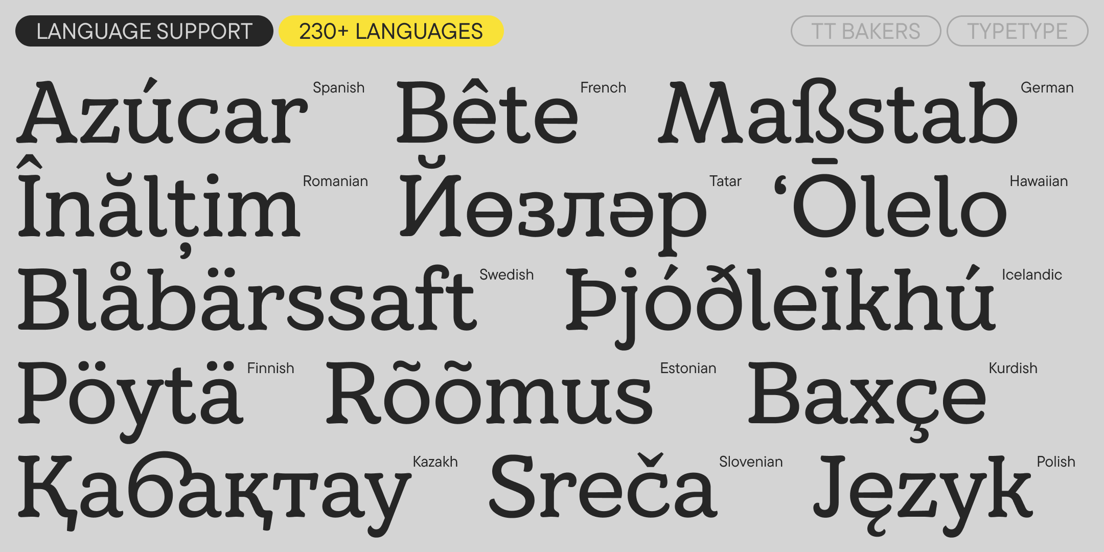 multilingual latin and cyrillic words demonstrating support for over 230 languages