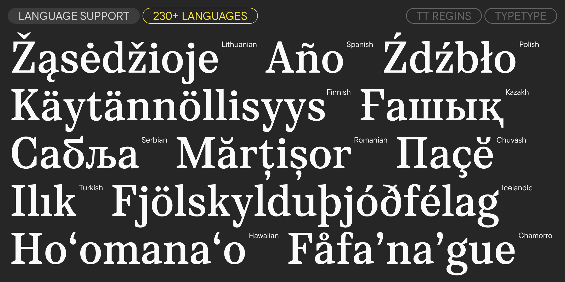 multilingual latin and cyrillic words demonstrating tt regins language support