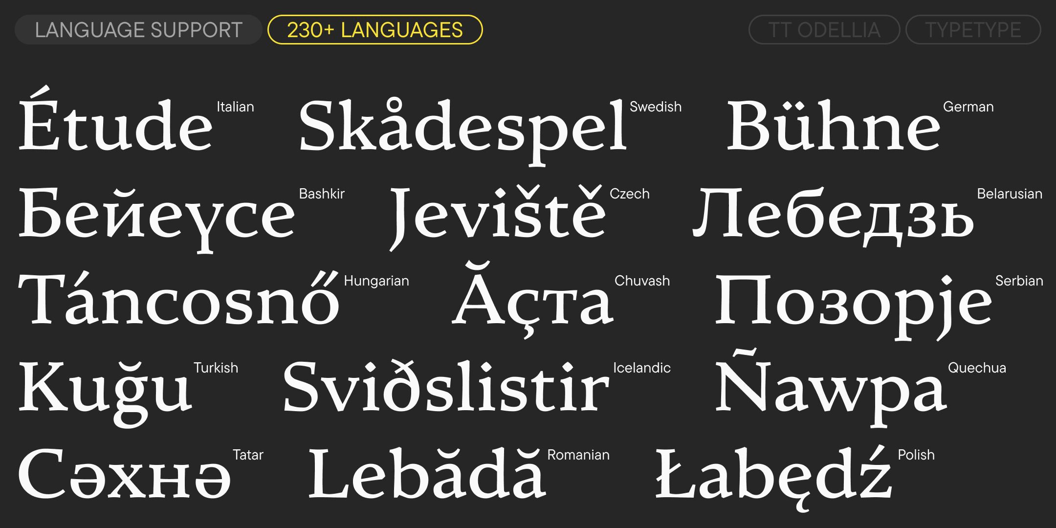 multilingual latin and cyrillic words demonstrating language support