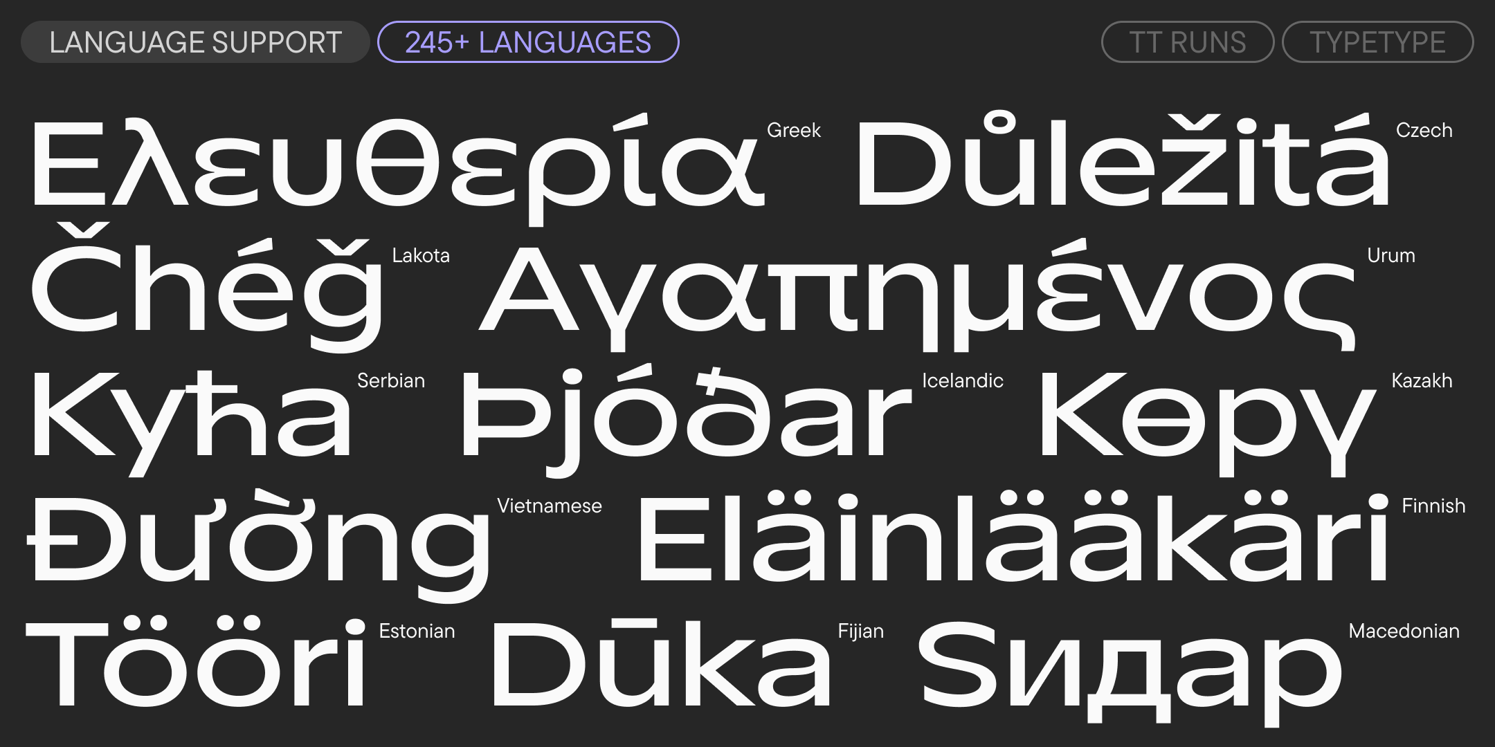 multilingual words demonstrating tt runs language support