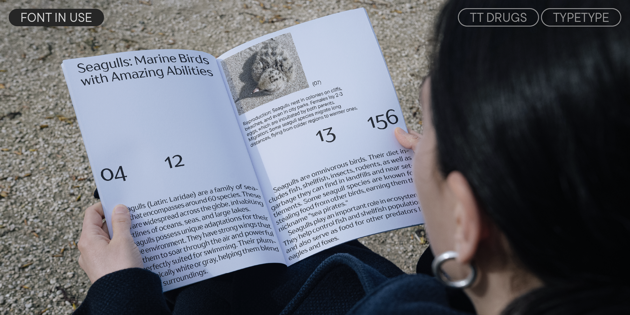 a reader holding an open publication about seagulls, set in tt drugs